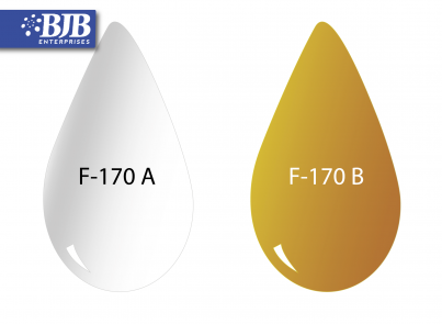 F-170 REV 1 A/B